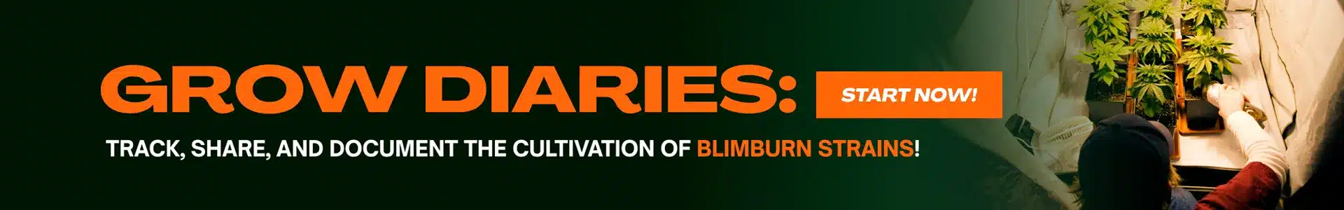 Blimburn Grow Diaries