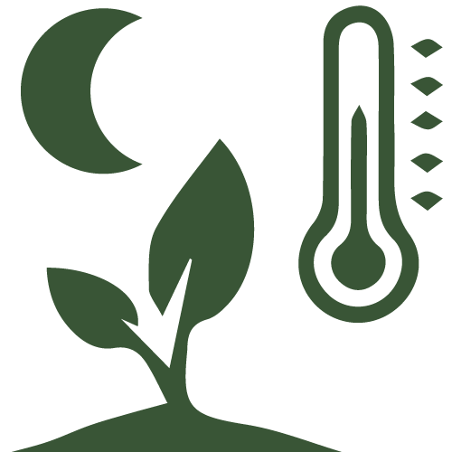 Night Air Temperature