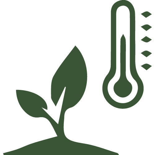Substrate Temperature