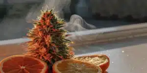 Hyper-realistic scene: vibrant cannabis bud with orange pistils and slices of orange and lemon, with smoke rising in sunlit room.