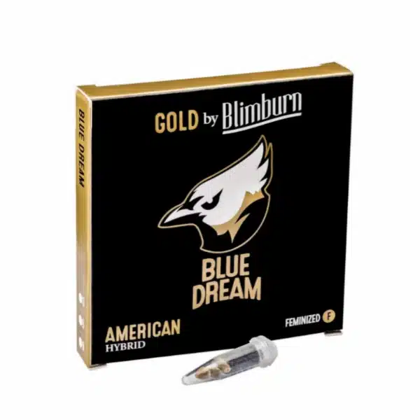 Euphoric Blue Dream Seeds with Sweet Mango Aroma at Blimburn