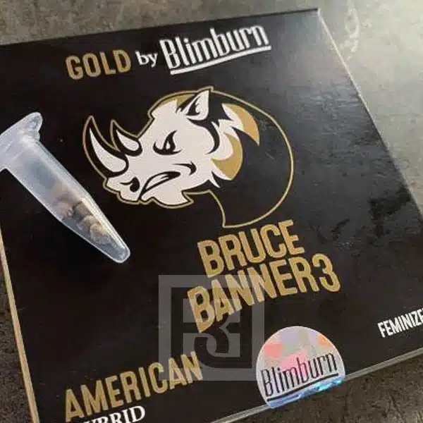 Bruce Banner #3 Seed Pack Display