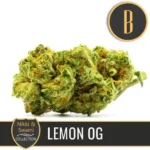 LEMONOGCANNABISbud