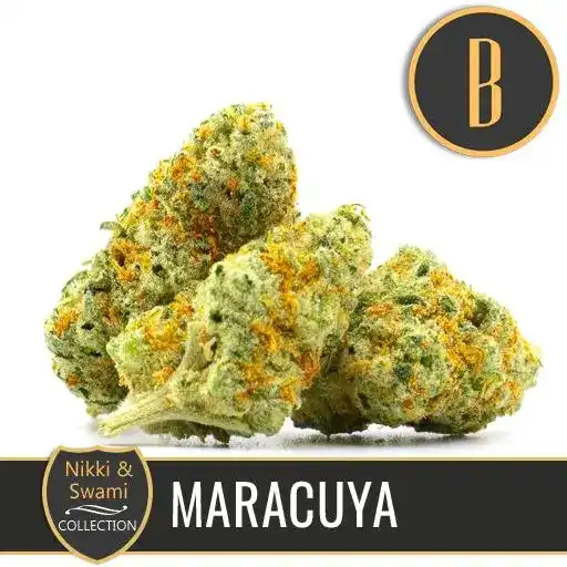 MARACUYACANNABISBUDS