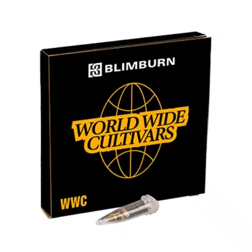 Hektol cannabis seeds pack from Blimburn Seeds