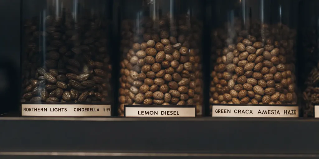Hyper-realistic macro photography: close-up of three glass jars filled with cannabis seeds, labeled "NORTHERN LIGHTS CINDERELLA 99," "LEMON DIESEL," and "GREEN CRACKX AMESIA HAZE," on a dark shelf.