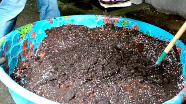 Mycorrhizal and organic nutrition