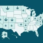 Growing cannabis stage. Tips for Southern States USA