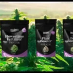 blimburn nutrients cover