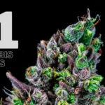 F1 hybrid genetics to cultivate crops that are more consistent