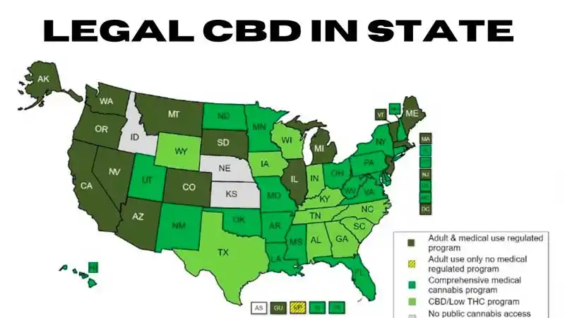 LEGAL CBD IN STATE