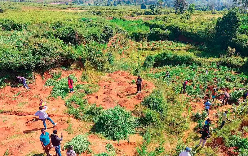 The genetics of Nepal exhibit significant strength