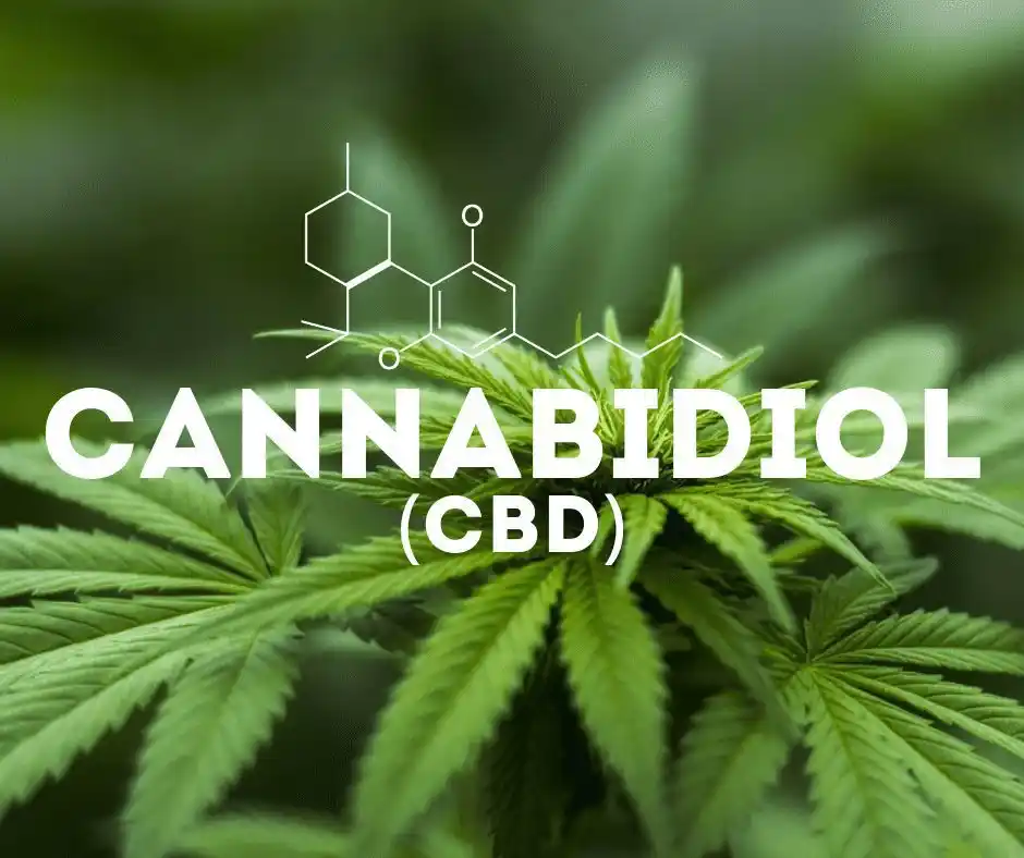 what is cbd