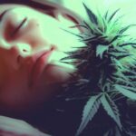 Best Cannabis Strains For Insomnia