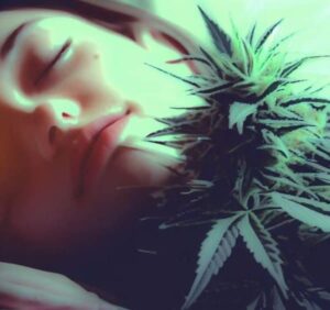 Best Cannabis Strains For Insomnia