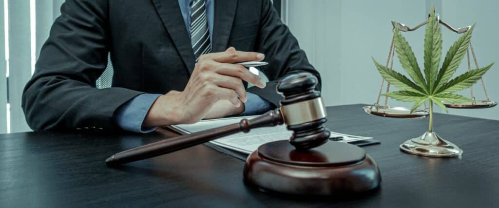 Minnesota cannabis laws and regulations