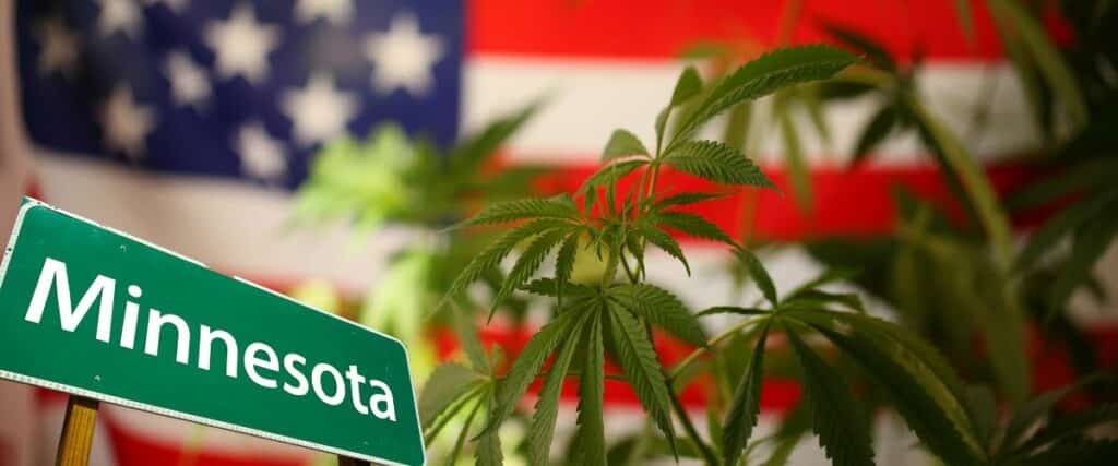 Popular Strains for Minnesota Growers