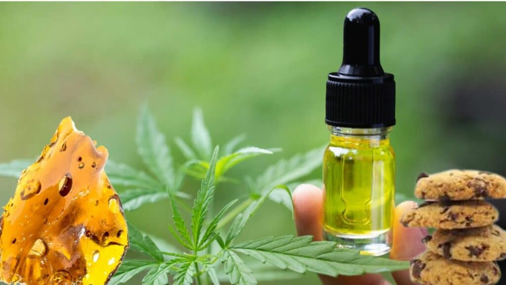 Cannabis Concentrates 101 A Comprehensive Guide