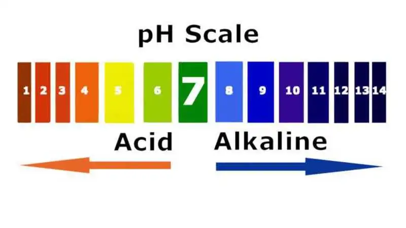 ph scale