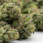 Close-up of frosted green cannabis buds with orange pistils and purple undertones.