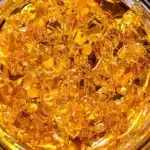 Close-up of golden live resin concentrate in a small dab container.