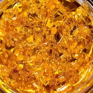 Close-up of golden live resin concentrate in a small dab container.