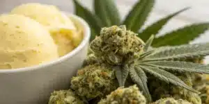 Close-up view of Banana Cream Weed buds with creamy textures and vibrant hues, showcasing thick trichomes.