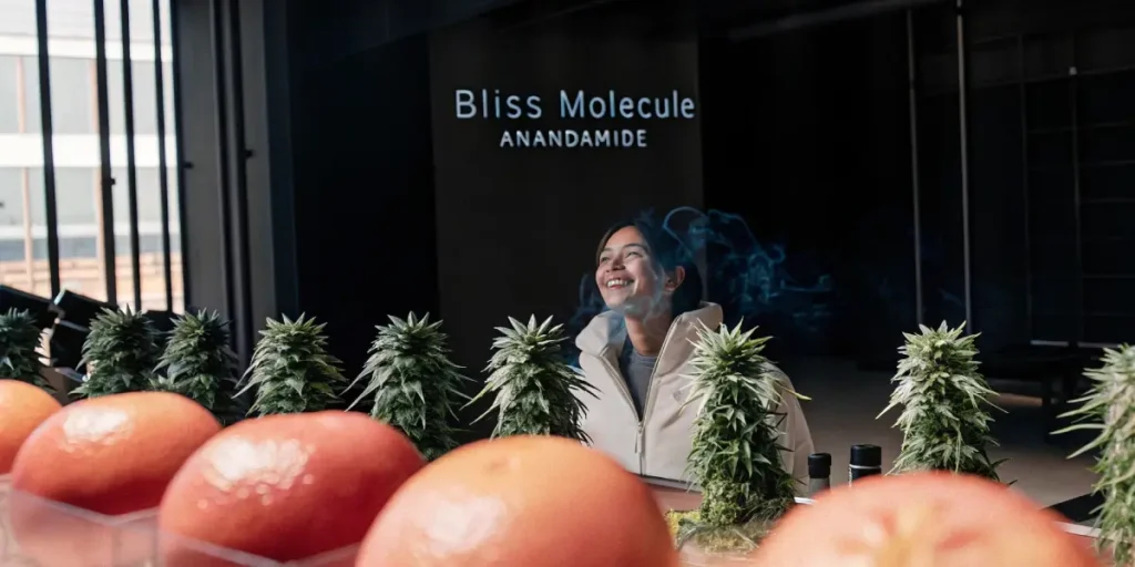 Person in a white coat smiling amidst cannabis plants and mist in a controlled environment.