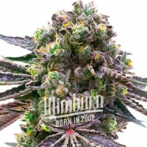 Red Strawberry Banana Auto