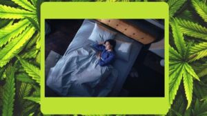 What is the best Strain for Sleep in 2024 - photo cover