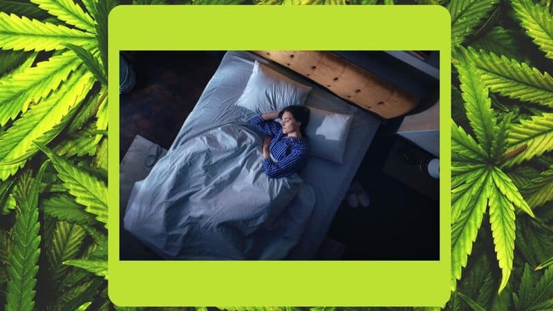What is the best Strain for Sleep in 2024 - photo cover