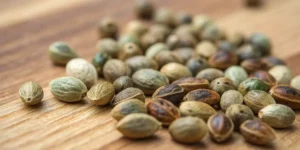 Hyper-realistic close-up of a pile of diverse cannabis seeds, varying in color and pattern, on a wooden surface.