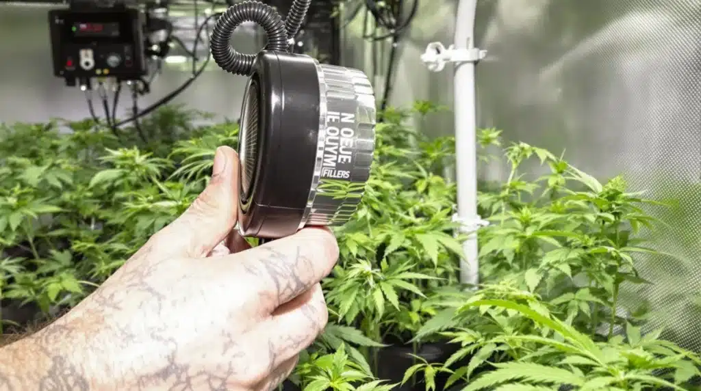 Hand holding a carbon filter component in a cannabis grow tent with healthy plants