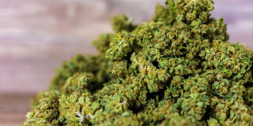 Close-up of a large pile of dense, light green cannabis buds, with blurred wooden background.