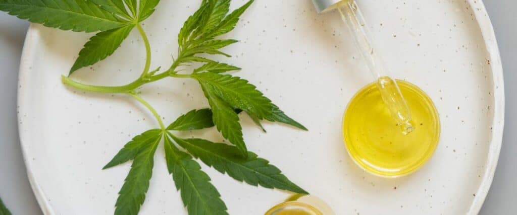 Two green cannabis leaves on a white, textured surface next to a dropper dispensing golden oil into a small dish.