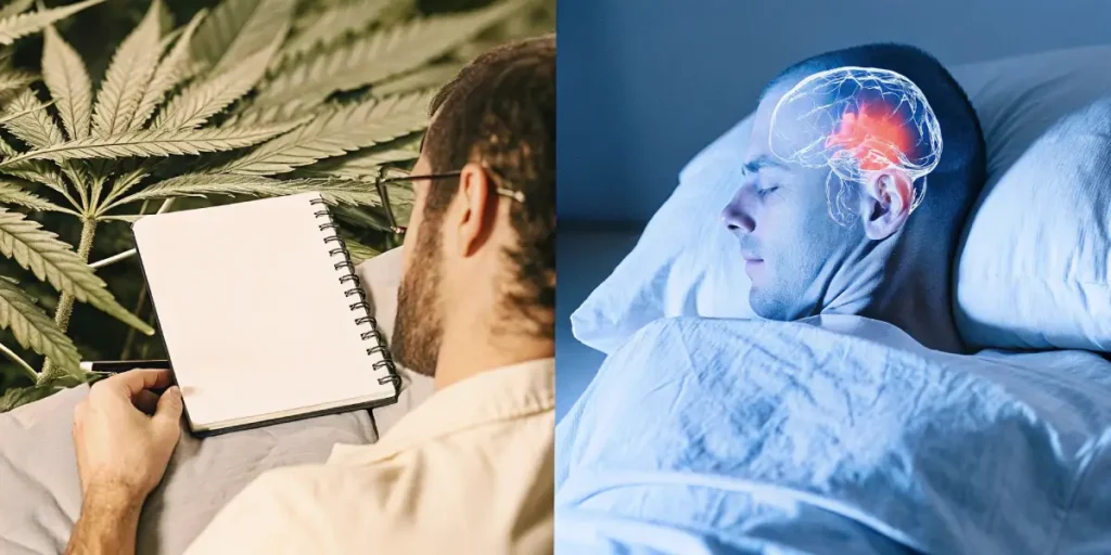 Split scene showing cannabis journaling and man sleeping with brain activity highlighted.