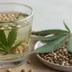 Cannabis seeds soaking in a glass of water at optimal temperature for germination.