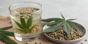 Cannabis seeds soaking in a glass of water at optimal temperature for germination.