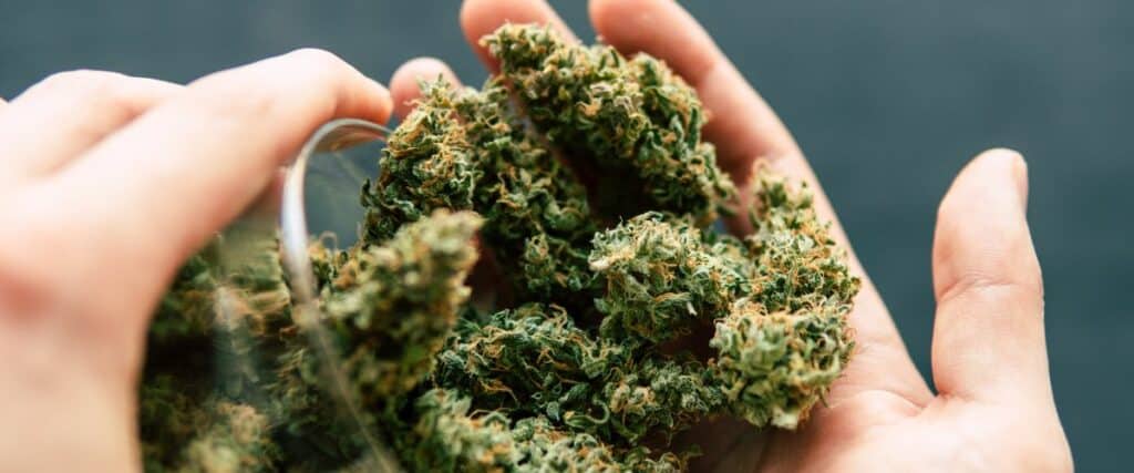 what an eighth of weed