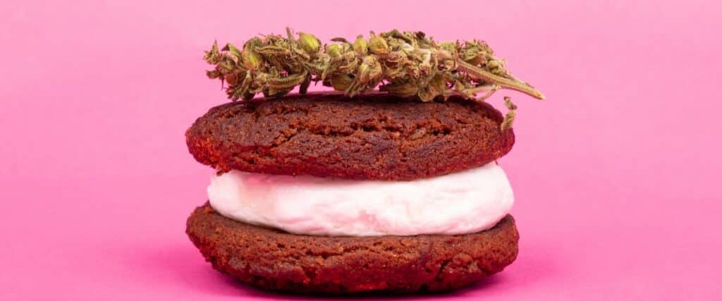 Experience the playful side of cannabis edibles with a colorful cannabis-infused ice cream sandwich, topped with a vibrant cannabis bud. A delightful twist on traditional treats set against a striking pink background.