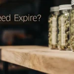 Three glass jars of dried cannabis buds on a wooden shelf, with "Does Weed Expire?" text.