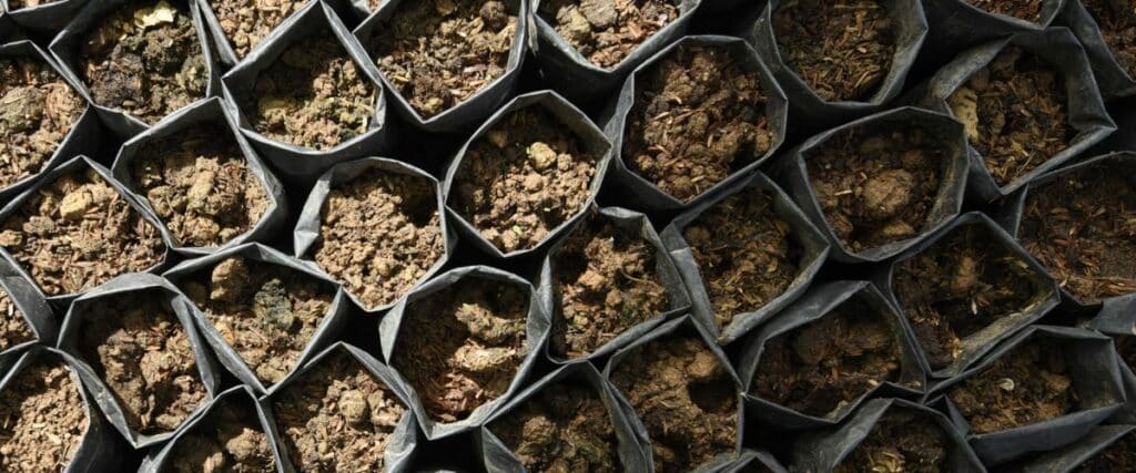 Distinguishing between garden soil and potting mix is crucial for effective container gardening