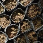 Distinguishing between garden soil and potting mix is crucial for effective container gardening