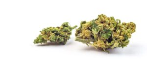 key differences between TAC and THC in cannabis