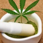 THC Powder: A Modern Twist on Cannabis