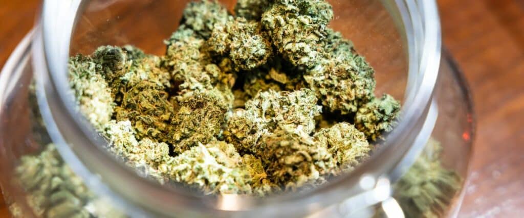 secrets to perfect cannabis curing