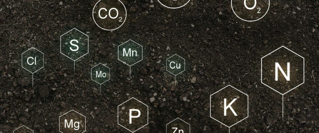 Why choose organic nutrients for marijuana
