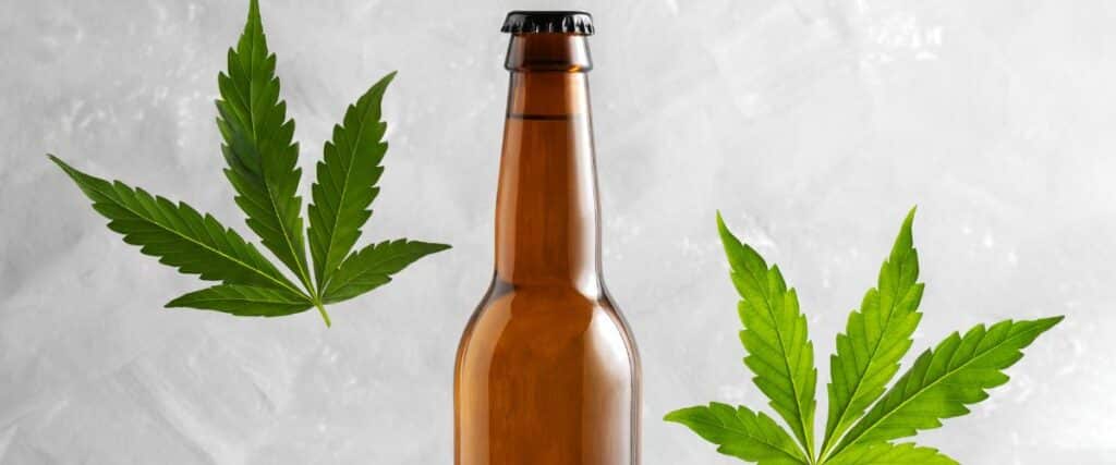 brewing with cannabis-infused beer