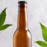 brewing with cannabis-infused beer