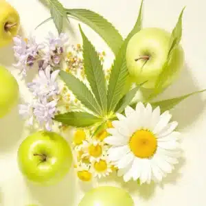 Farnesene terpene effects on relaxation with cannabis, chamomile, and soothing aromas